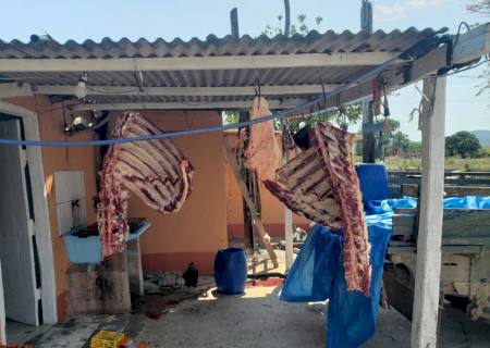 Comerciantes são presos por abate e venda de carne clandestina em Corumbá